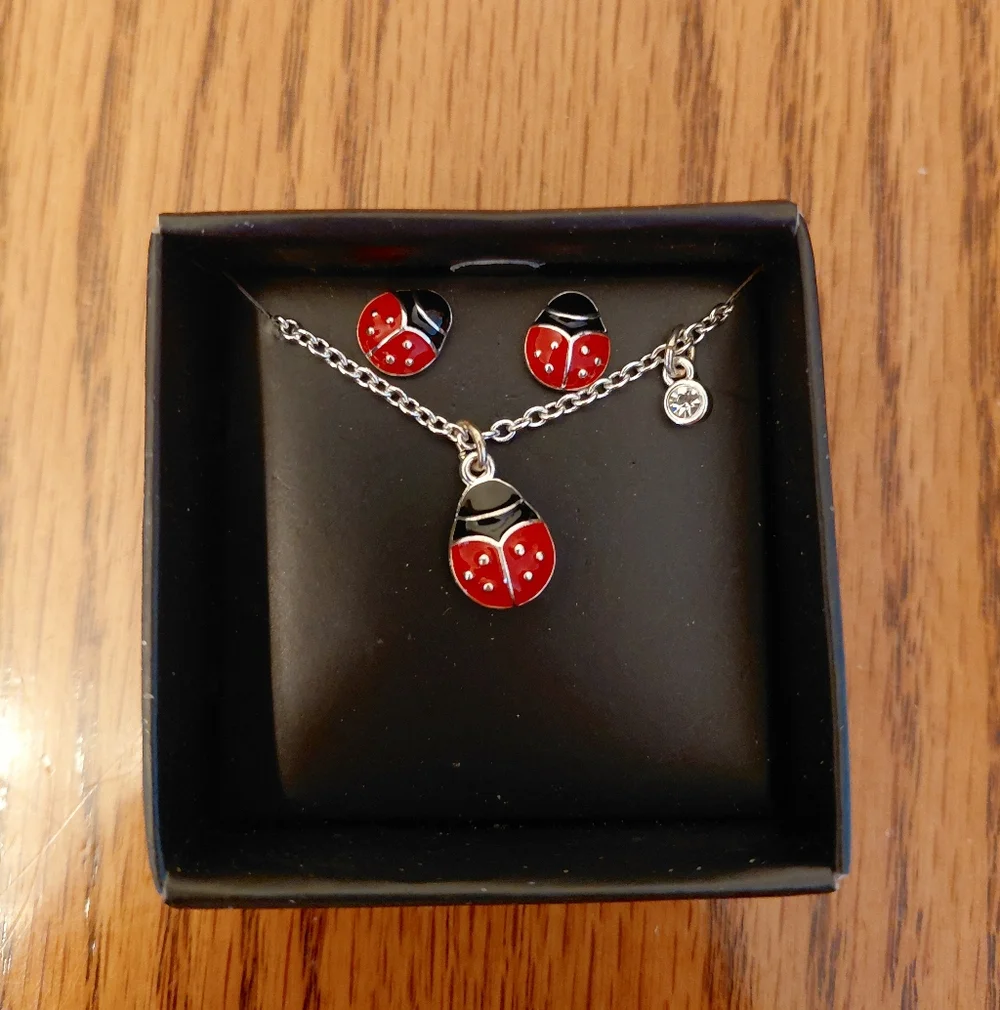 Ladybug Jewelry Set - Red and Black - Picture 1 of 3